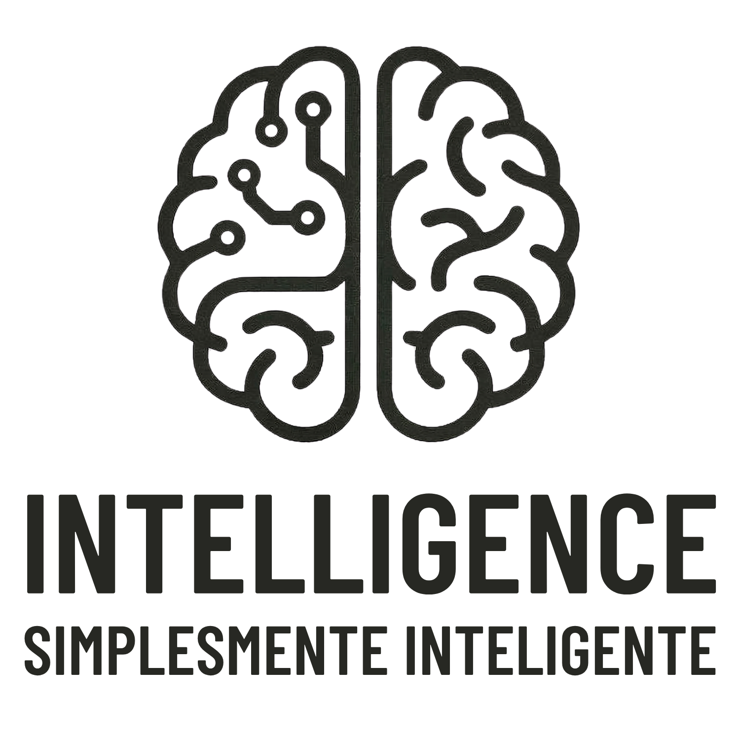 Intelligence Parceiros